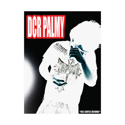 DCR PALMY POSTER